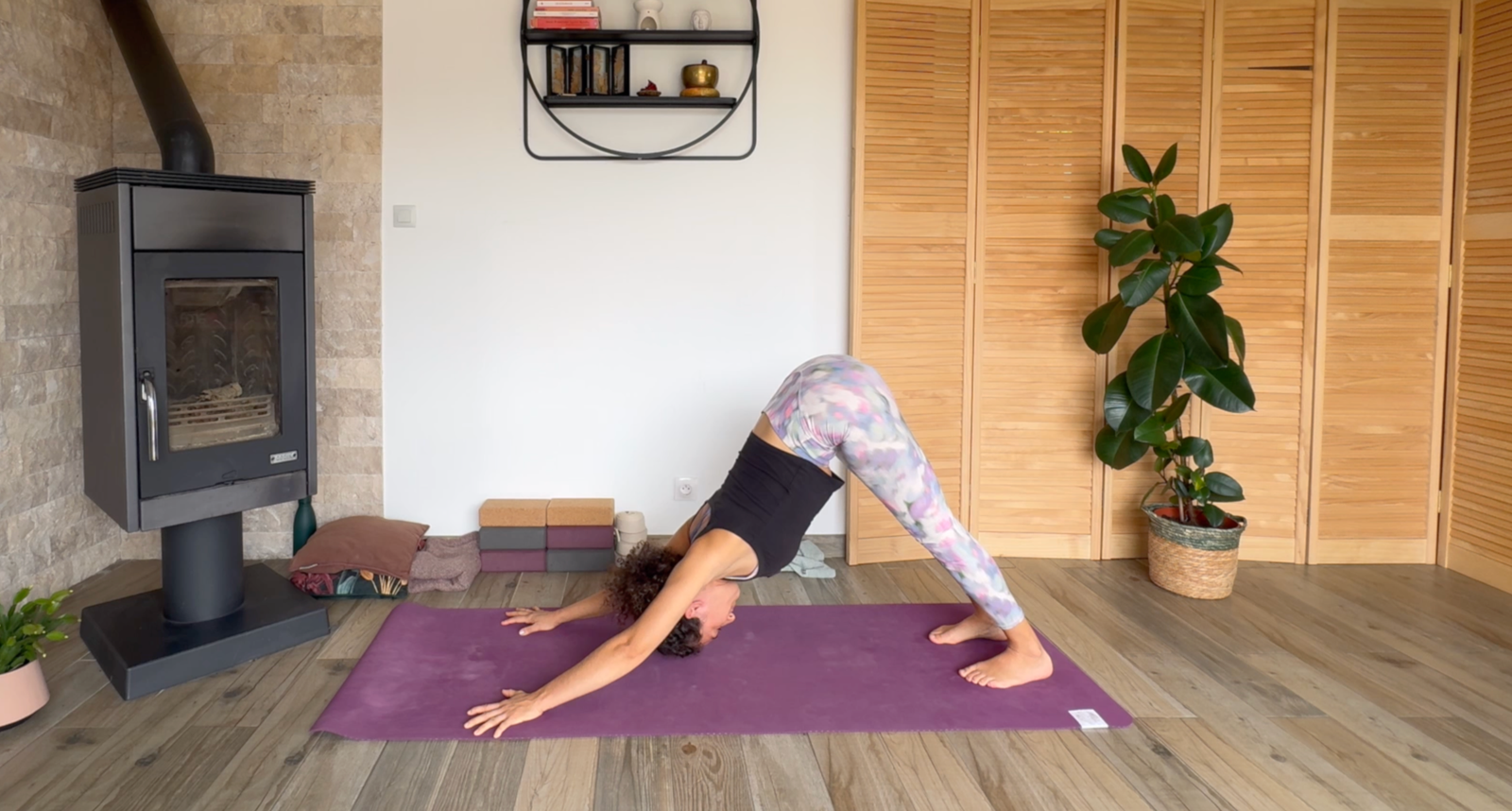 Programme Débutant – Les fondations